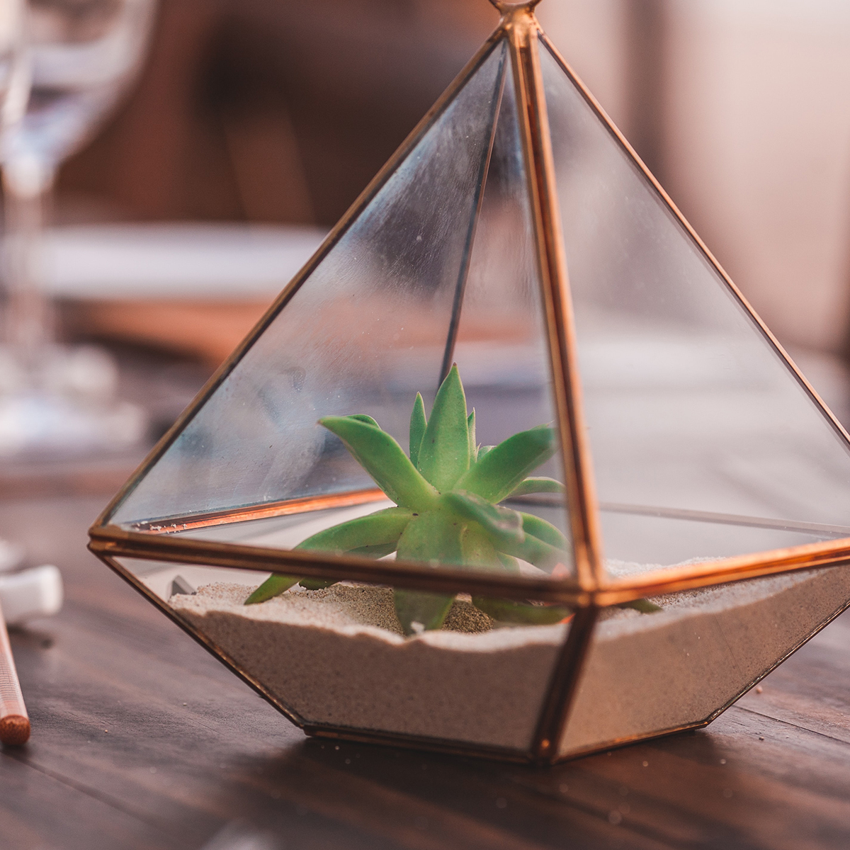 mai-inspire-hg-blog-summer-terrarium
