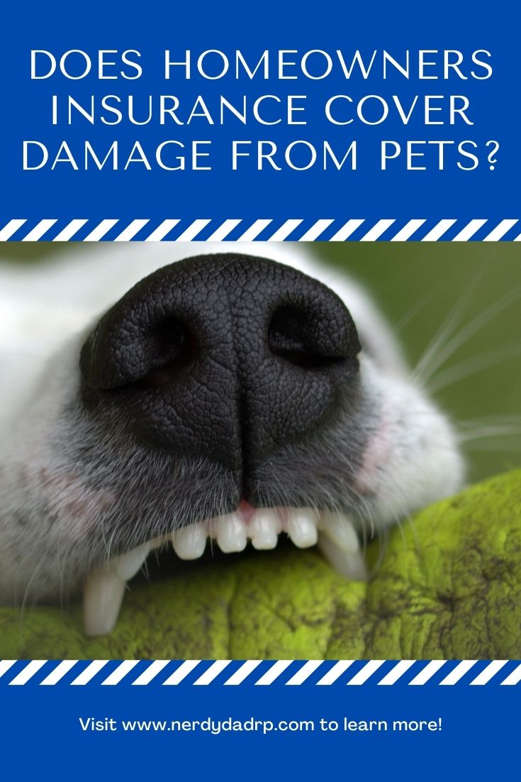 Does Homeowners Insurance Cover Damage From Pets?