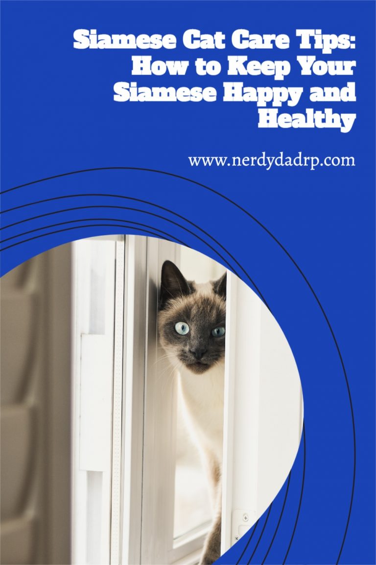 Siamese Cat Care Tips: How to Keep Your Siamese Happy and Healthy