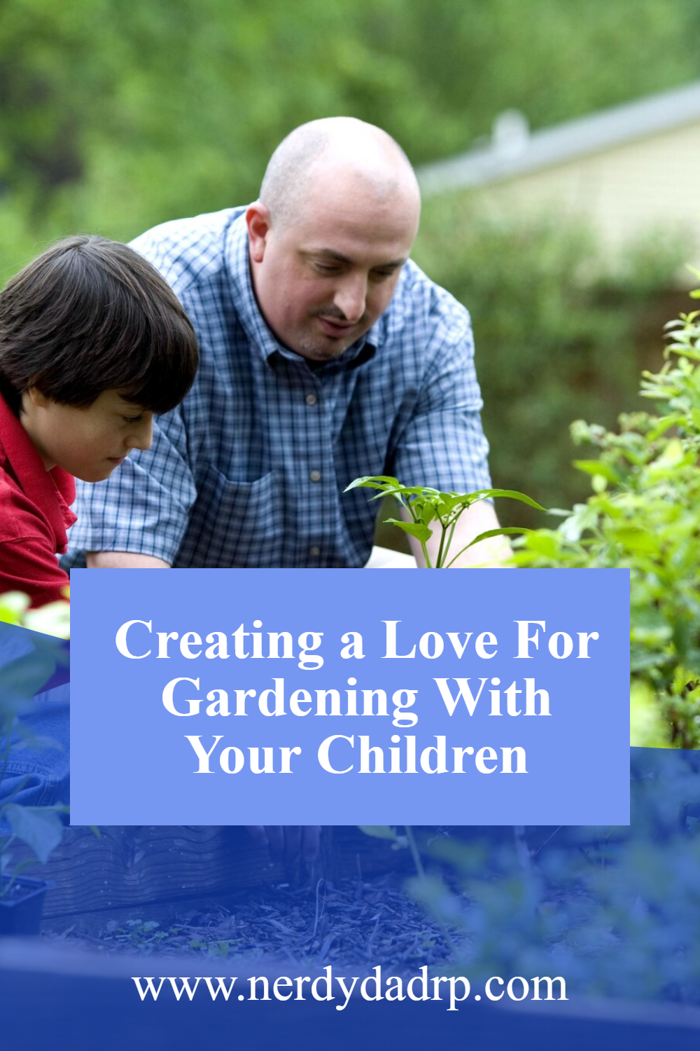 Creating a Love For Gardening With Your Children
