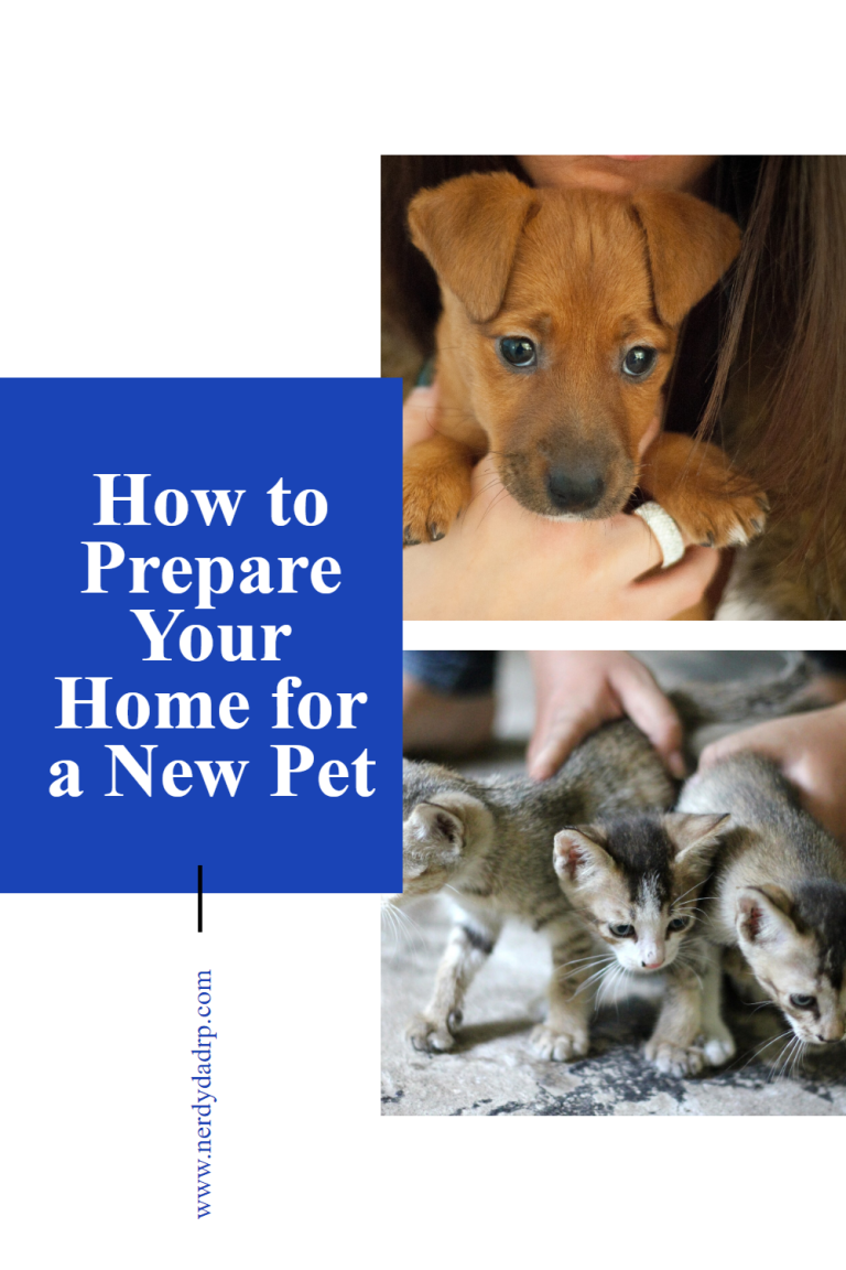 How to Prepare Your Home for a New Pet