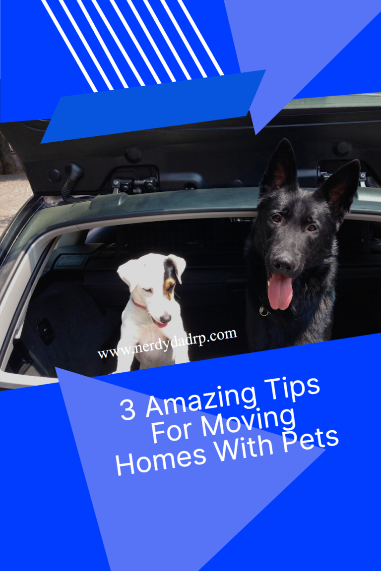 3 Amazing Tips For Moving Homes With Pets