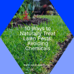10 Ways to Naturally Treat Lawn Pests: Avoiding Chemicals a green grass field with text overlay