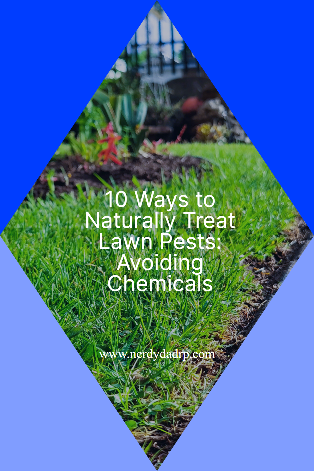 10 Ways to Naturally Treat Lawn Pests: Avoiding Chemicals