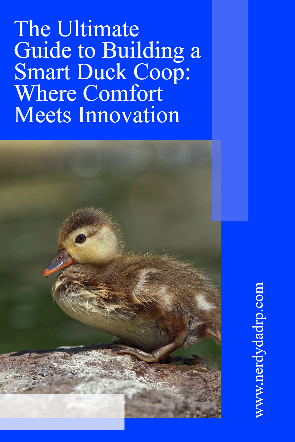 The Ultimate Guide to Building a Smart Duck Coop: Where Comfort Meets Innovation