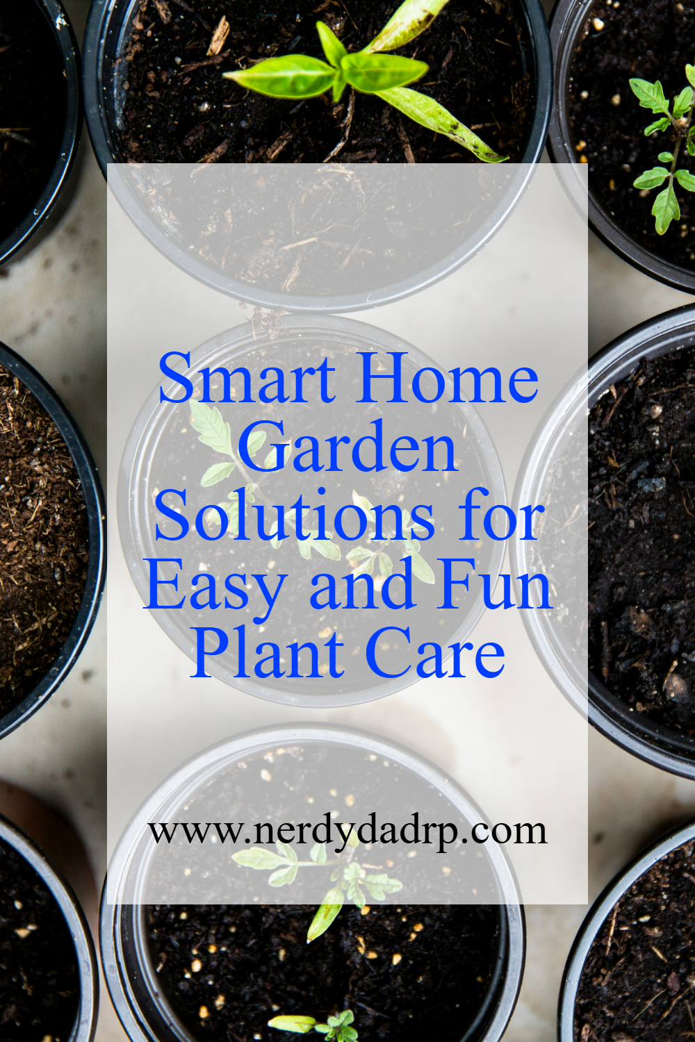 Smart Home Garden Solutions for Easy and Fun Plant Care