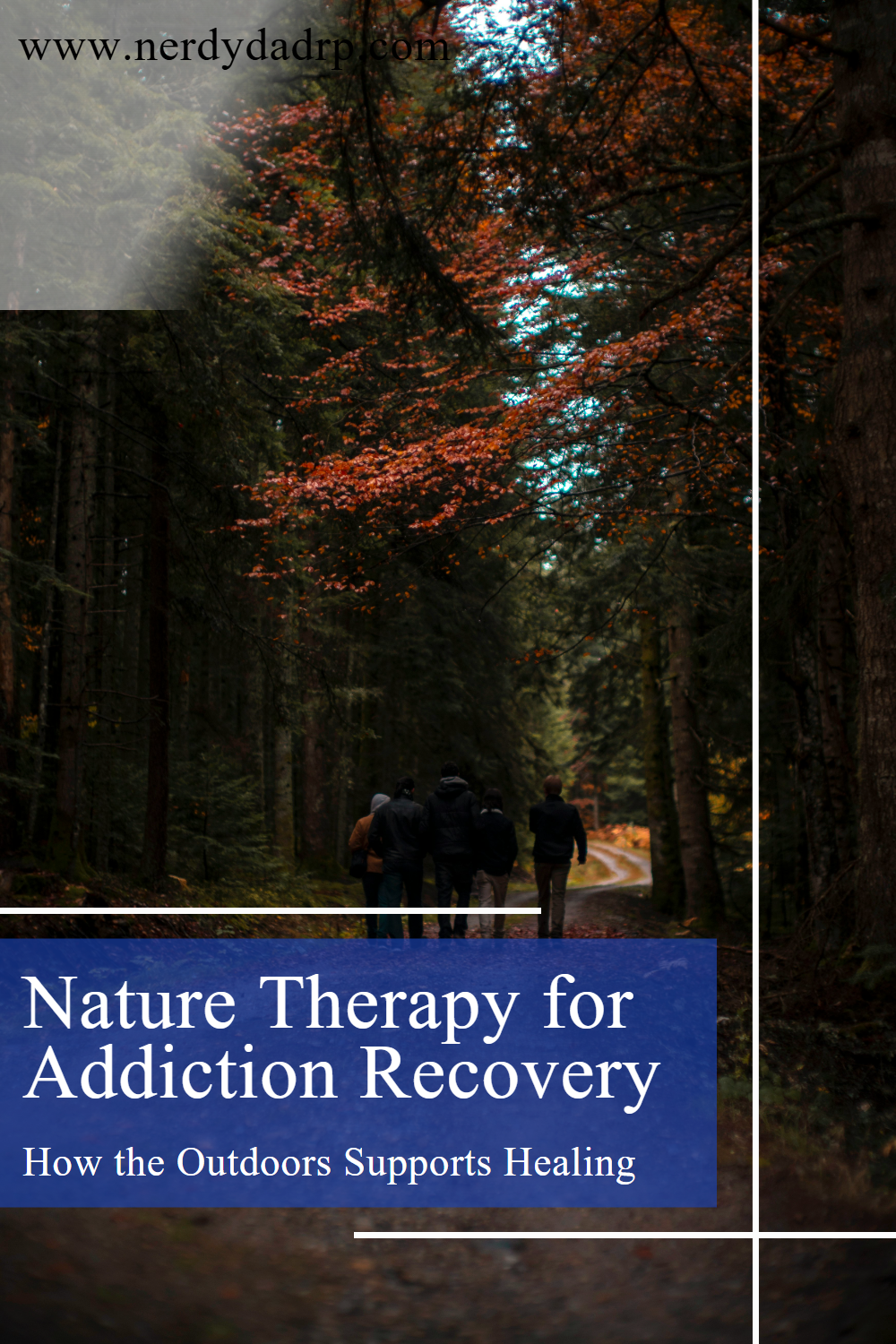 Nature Therapy for Addiction Recovery: How the Outdoors Supports Healing